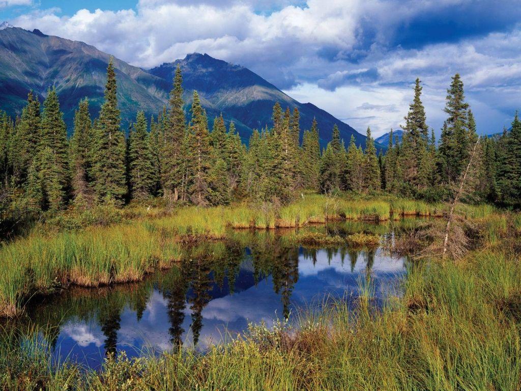 Wrangell St. Elias National Park, Alaska