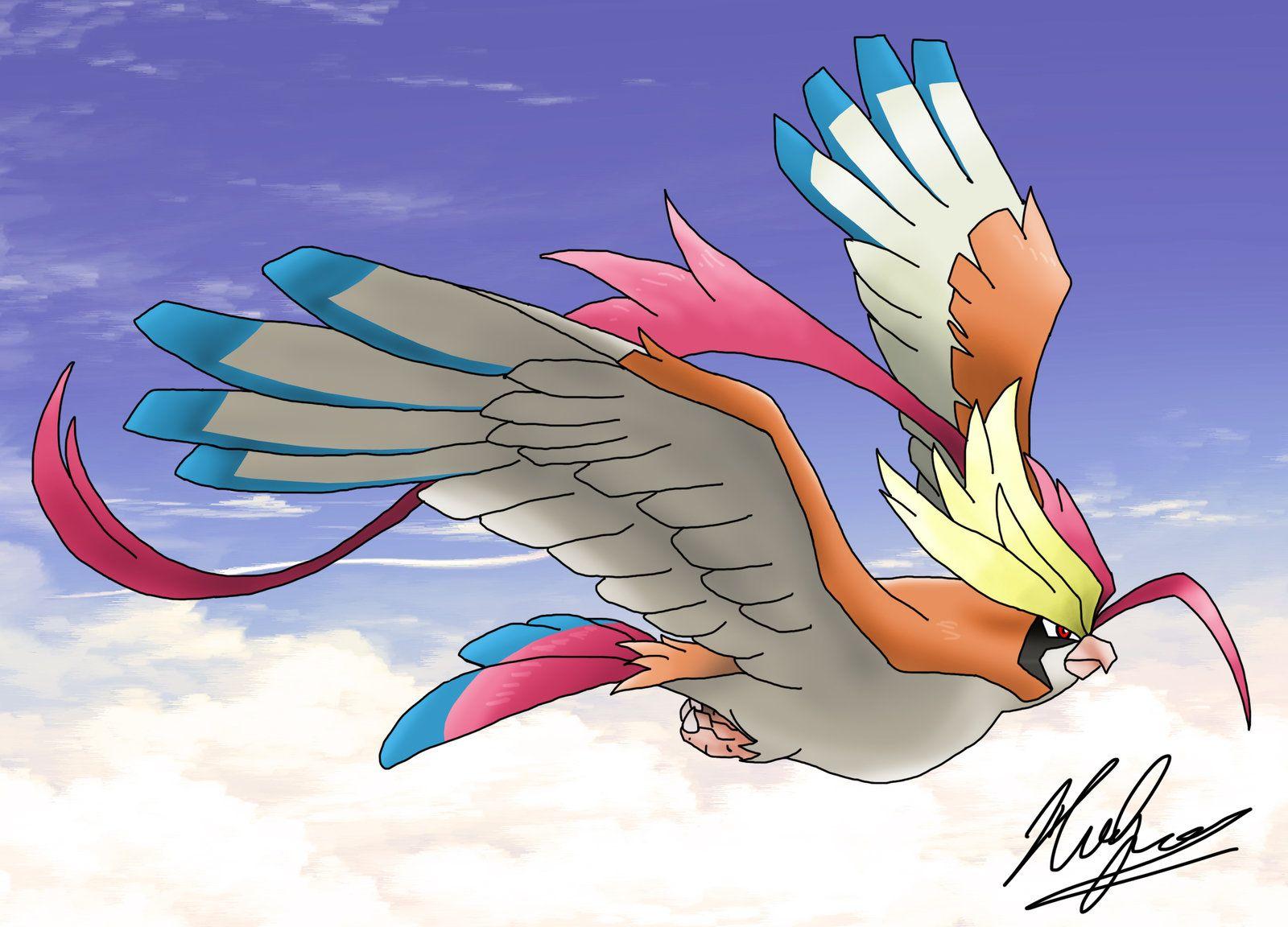 Photo Collection Mega Pidgeot Basic Wallpapers