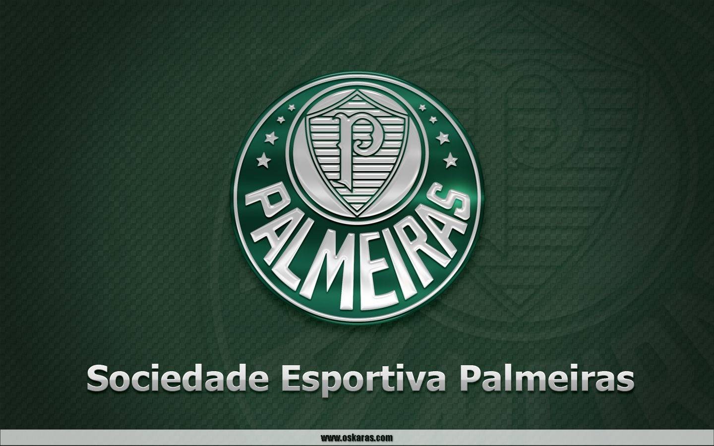 Papel de parede Palmeiras fotos incríveis