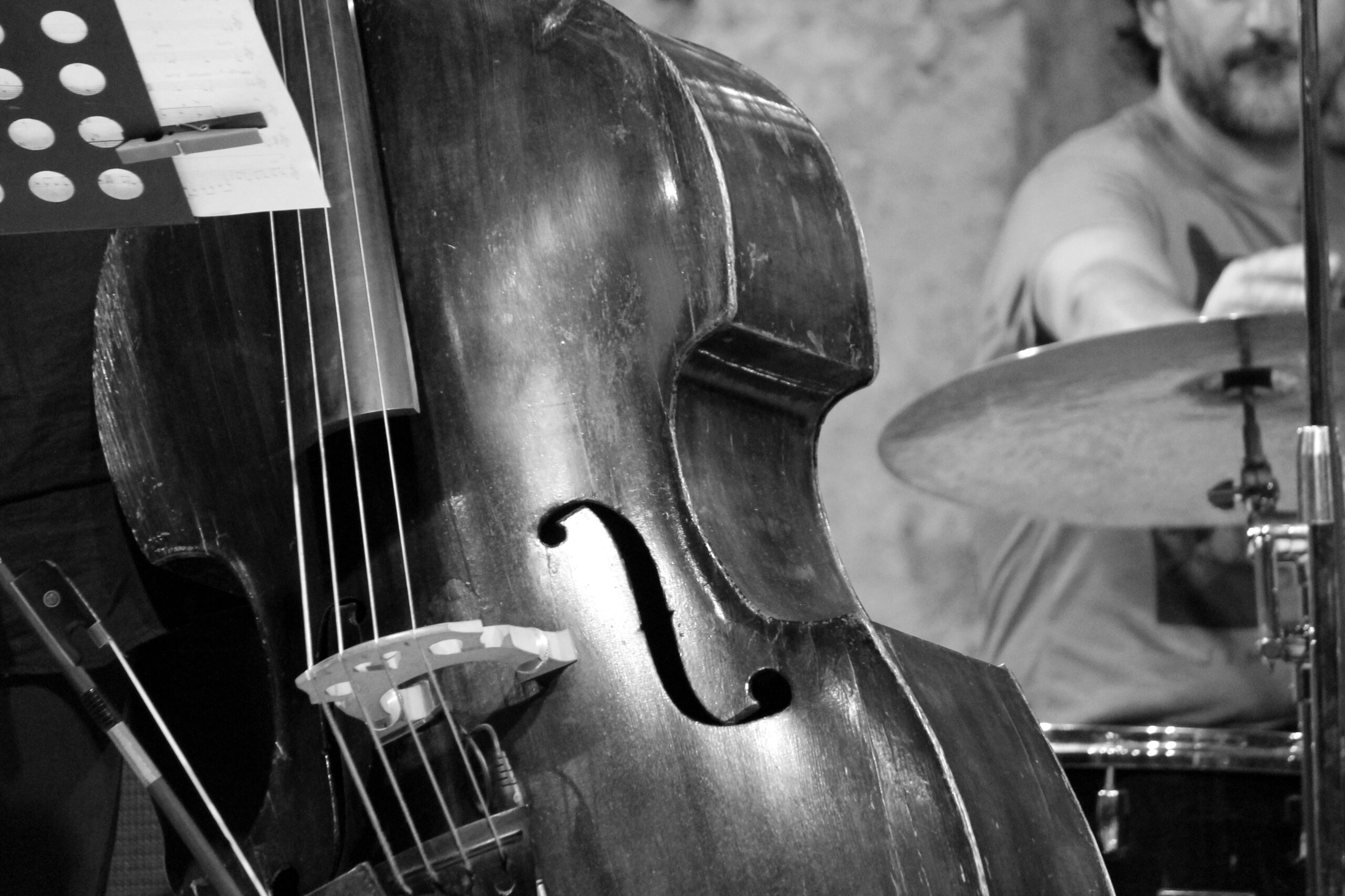 brown double bass free image