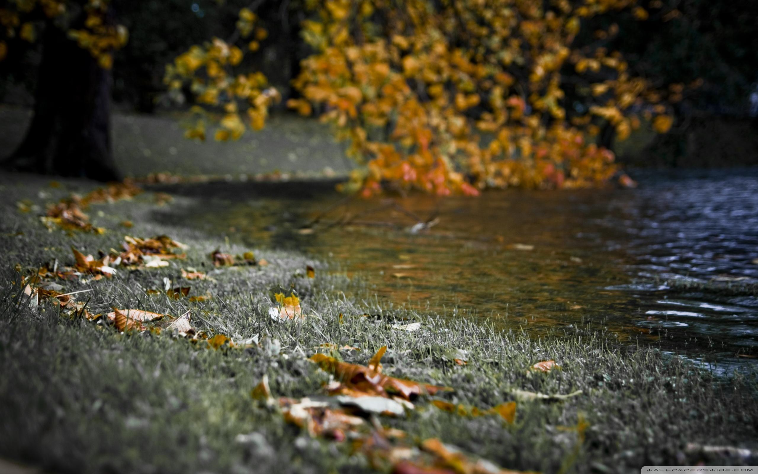 Autumn River Bank ❤ 4K HD Desktop Wallpapers for 4K Ultra HD TV