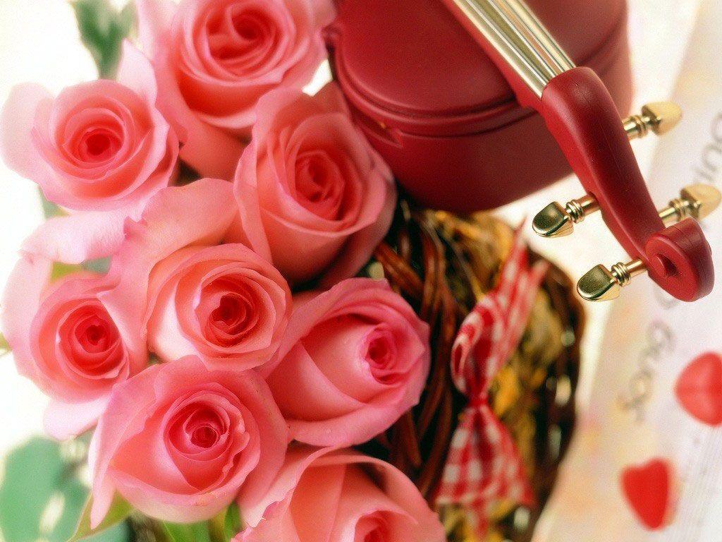 Beautiful Roses Wallpapers