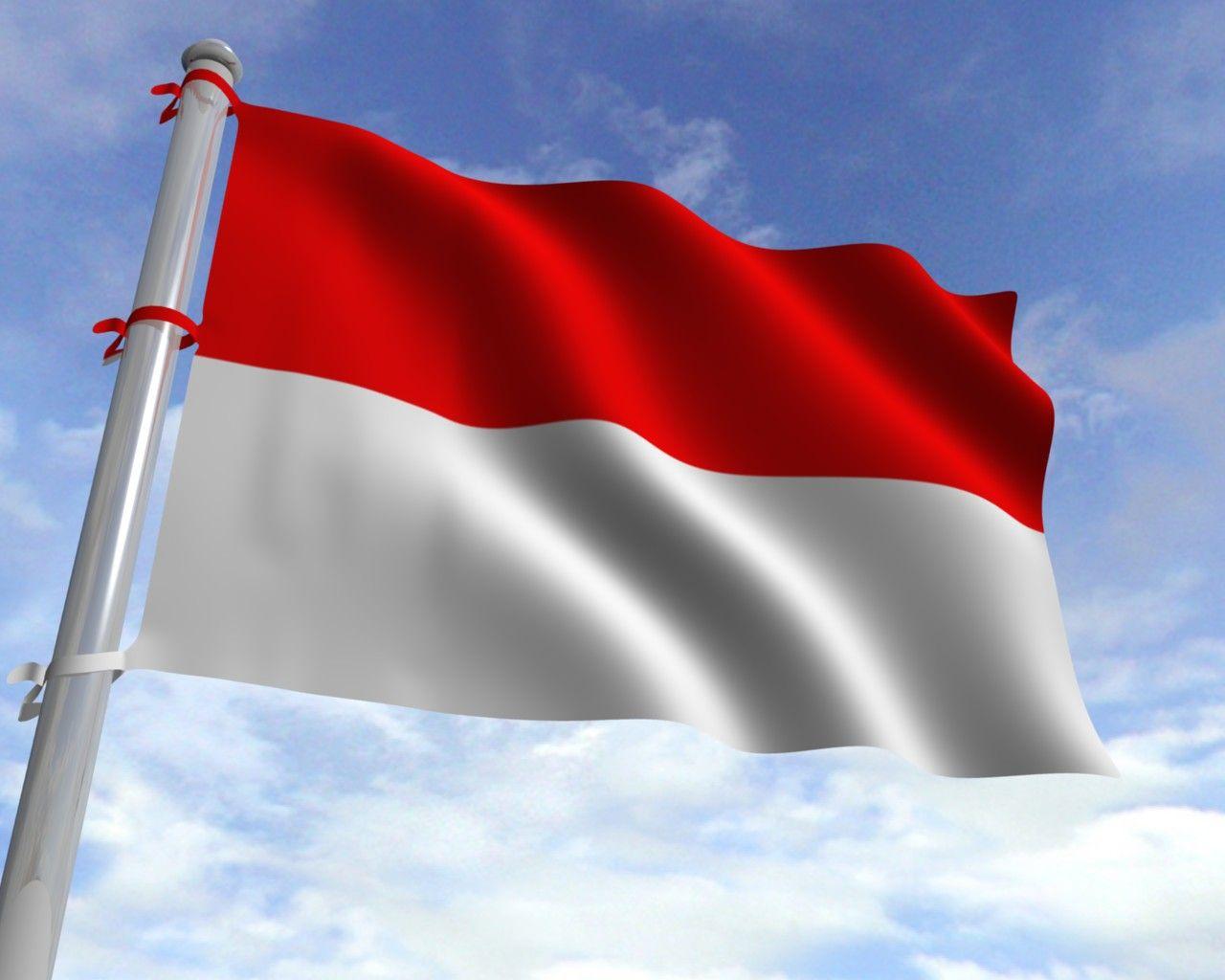 Best 10+ Indonesia flag ideas