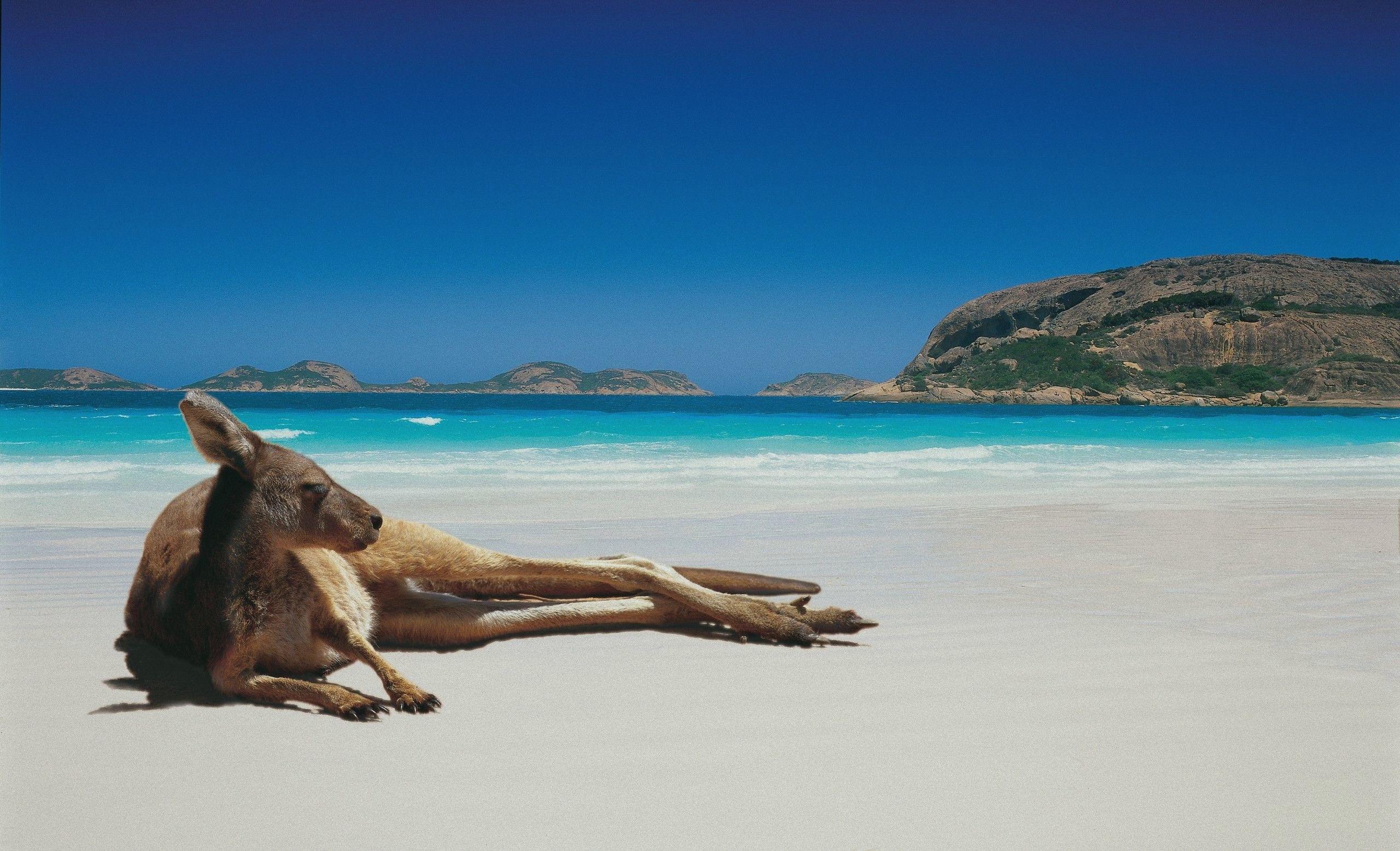 Australia Wallpapers HD Download