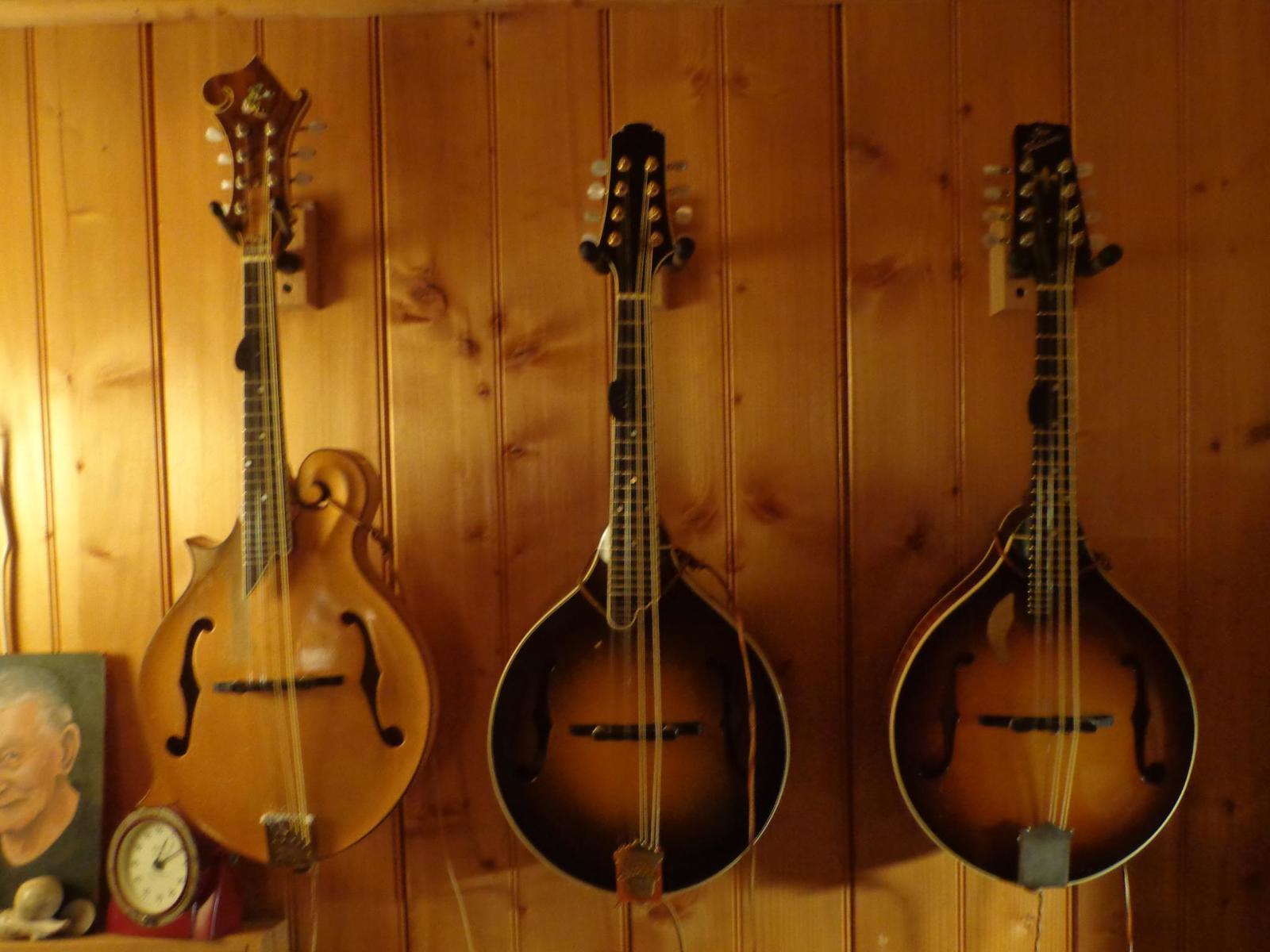 Mandolin Wallpapers