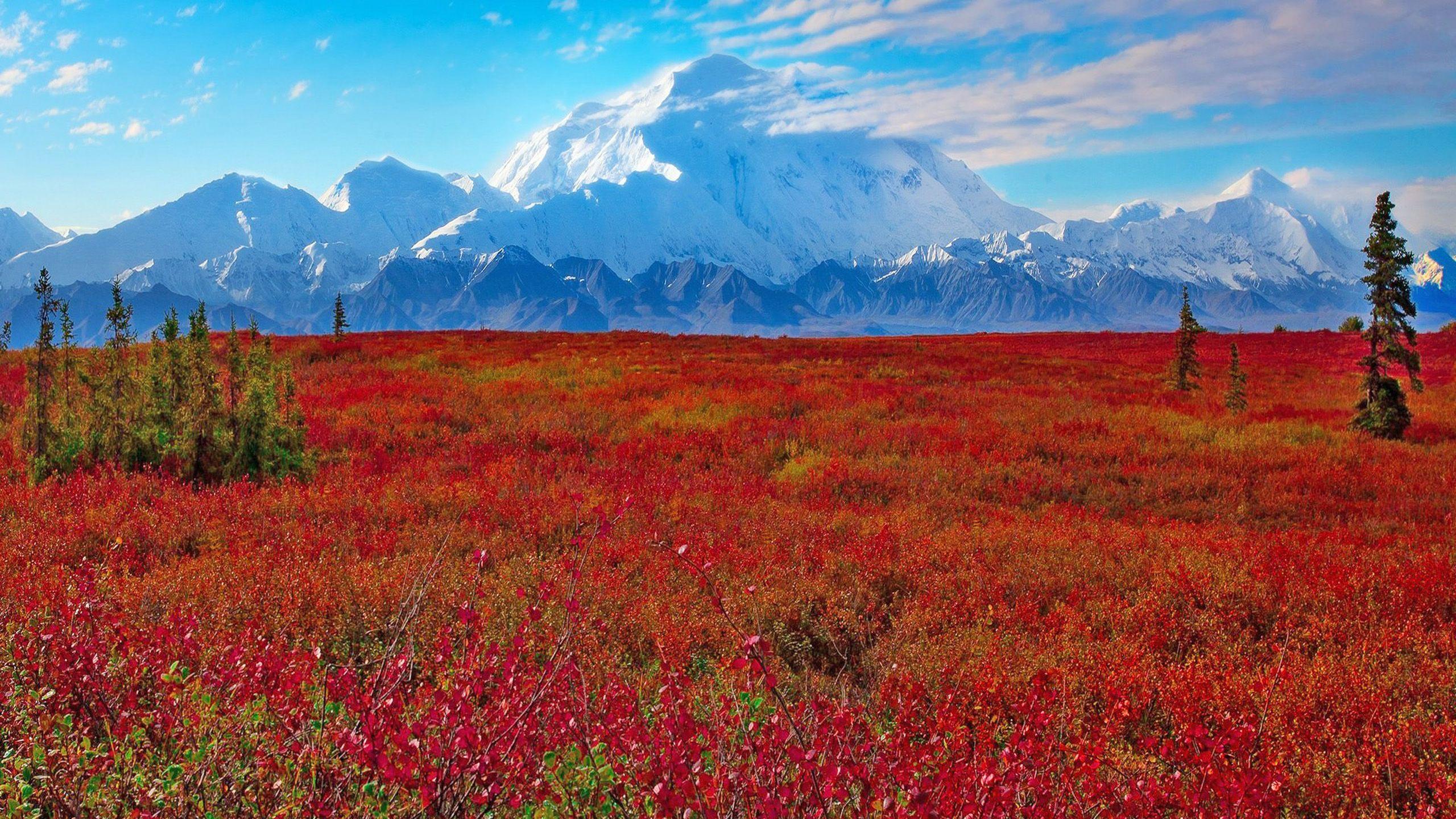 Denali National Park And Preserve, Ak, United States