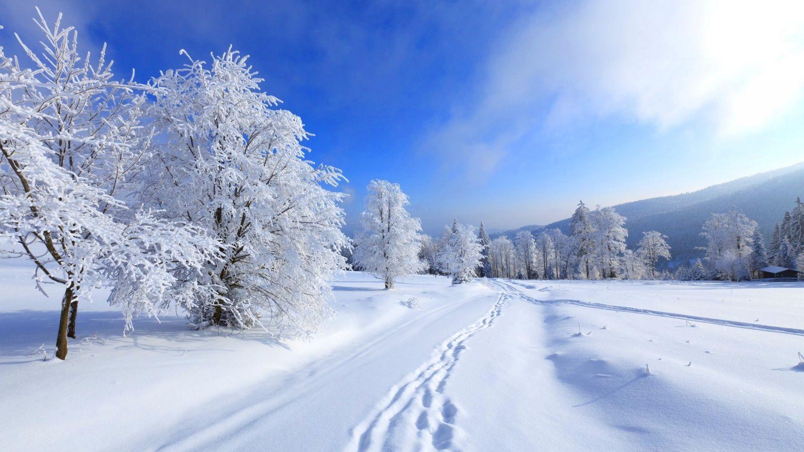 Winter Wallpapers HD 37 Backgrounds