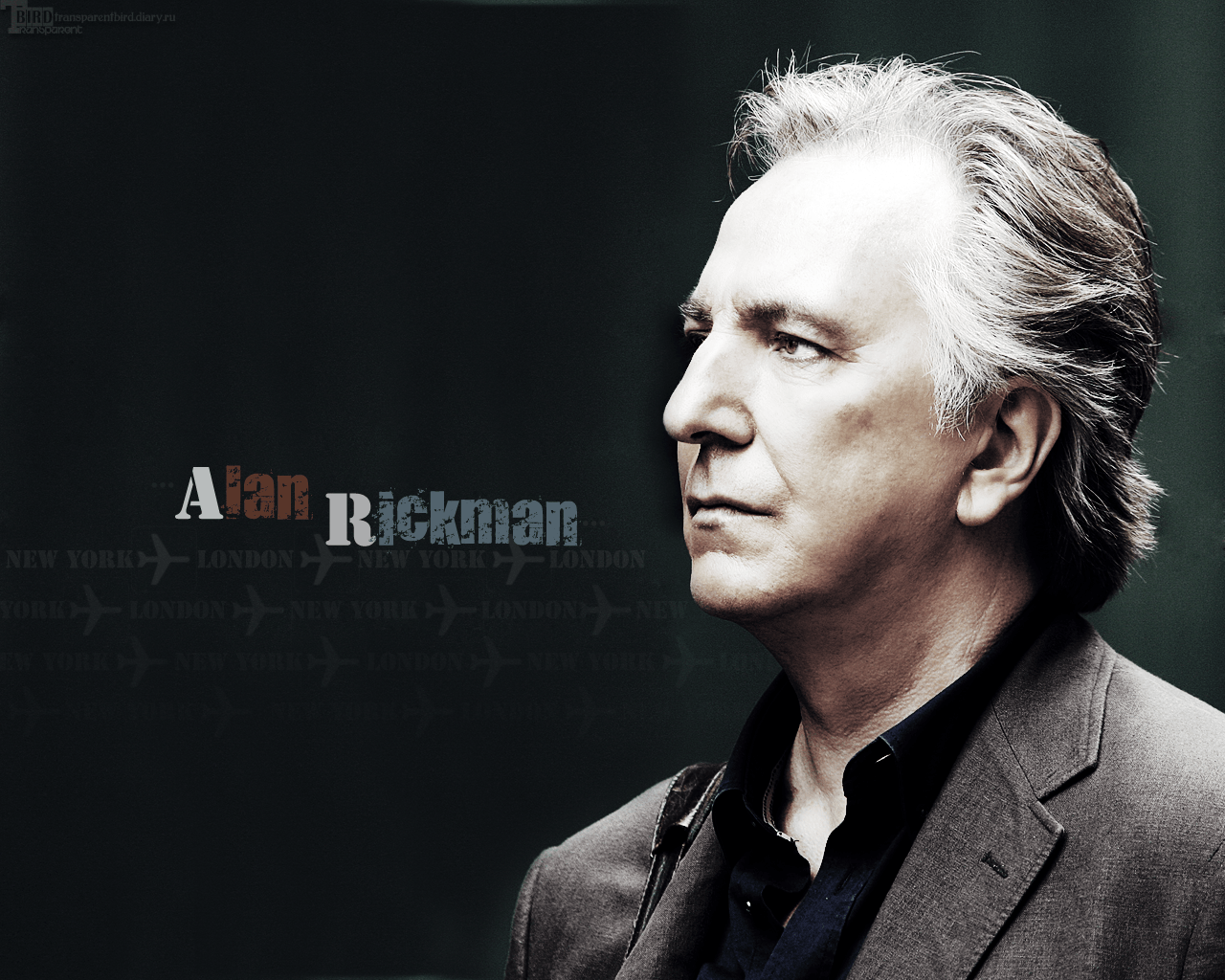 Alan Rickman HD Desktop Wallpapers