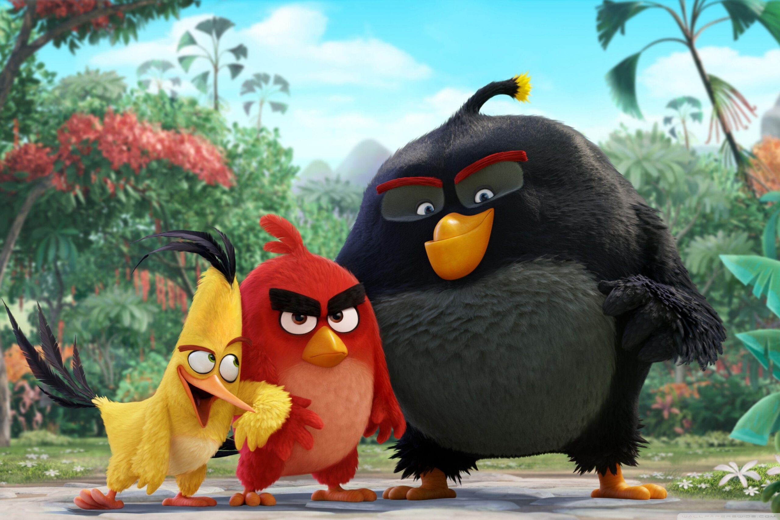 Angry Birds Movie 2016 HD desktop wallpapers : Widescreen : High