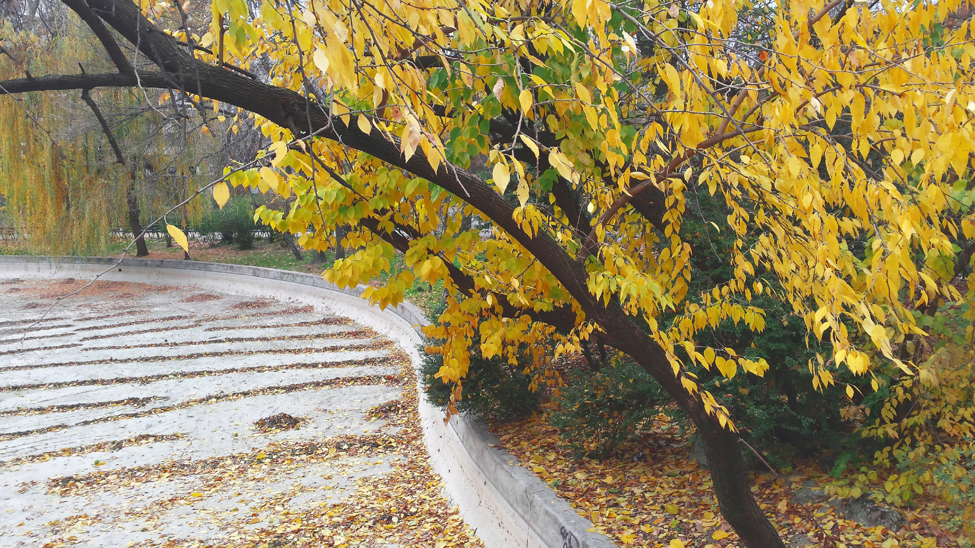 OC] Autumn in Cişmigiu Park, Bucharest