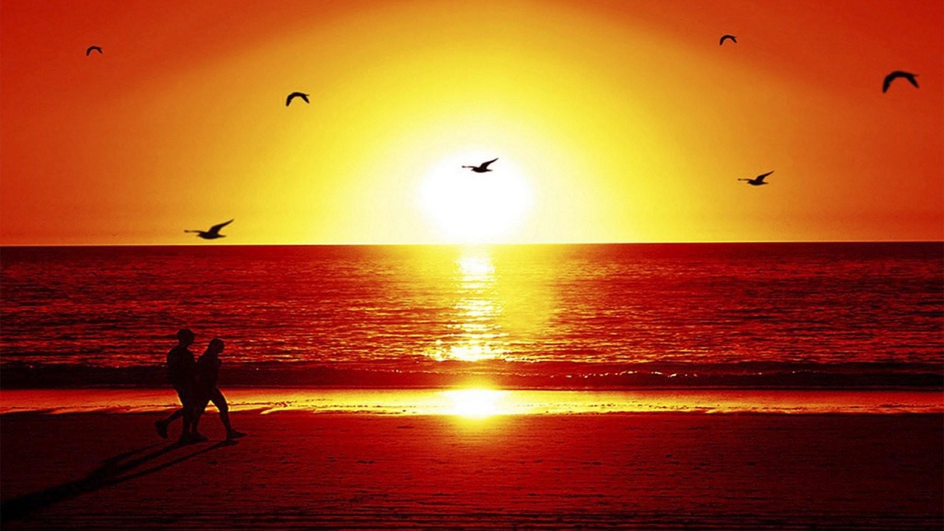 Beach Sunset Wallpapers