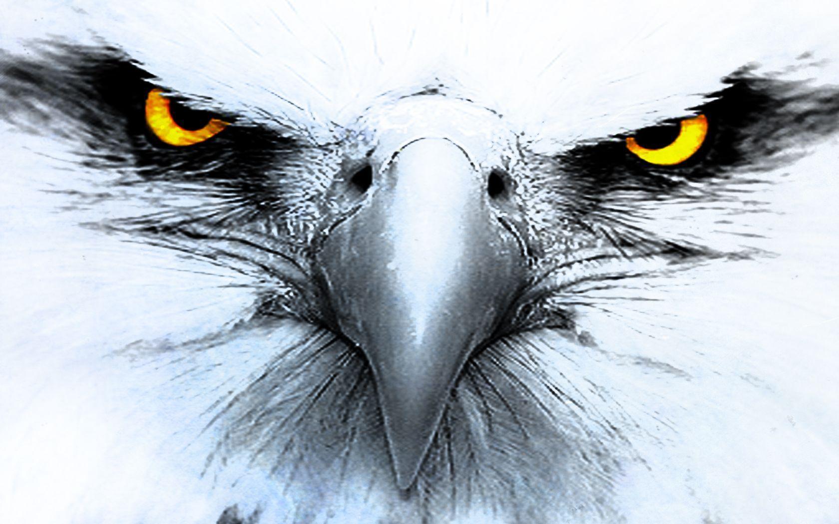 328 Eagle HD Wallpapers