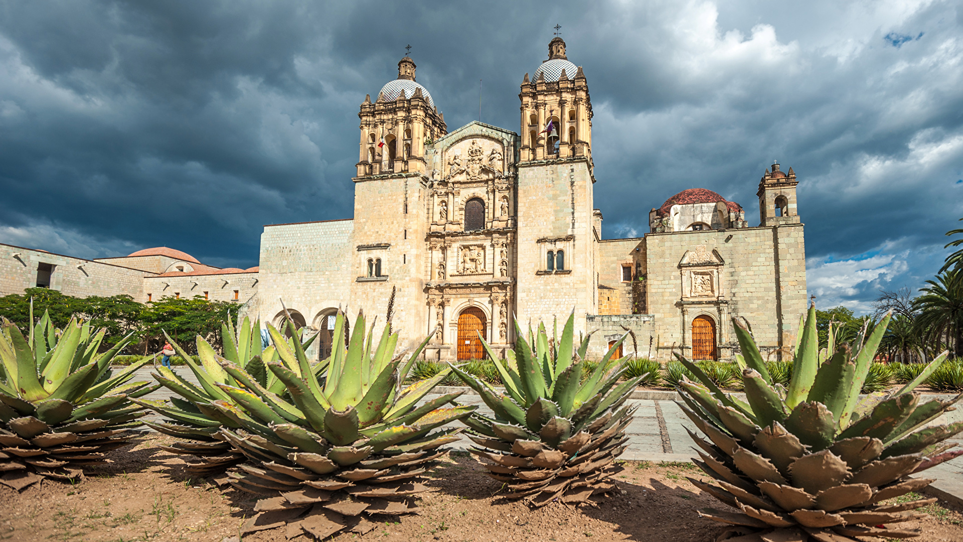 Photos Church Mexico Santo Domingo Oaxaca Temples Cactuses