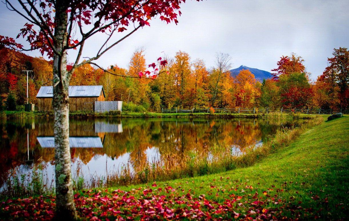 Vermont Tag wallpapers: Nice Pretty Cottage Forest Shore America