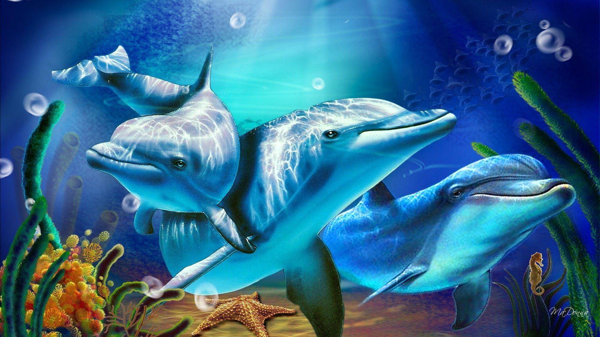 3D Living Dolphin HD Wallpapers