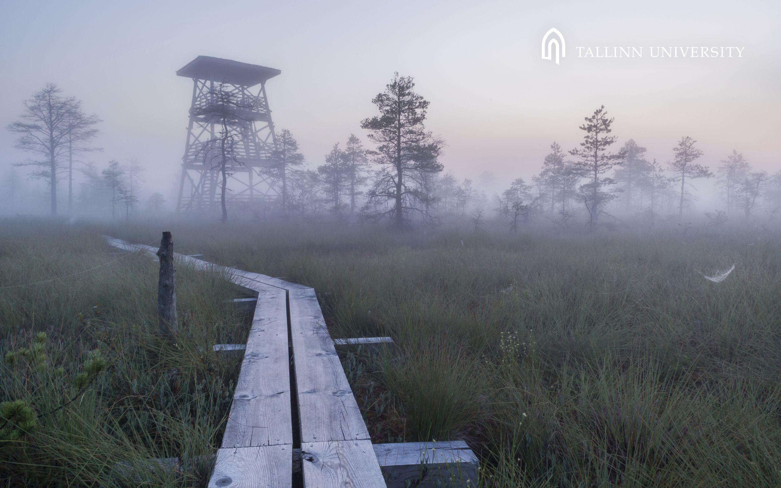 Estonia in Pictures / Tallinn University