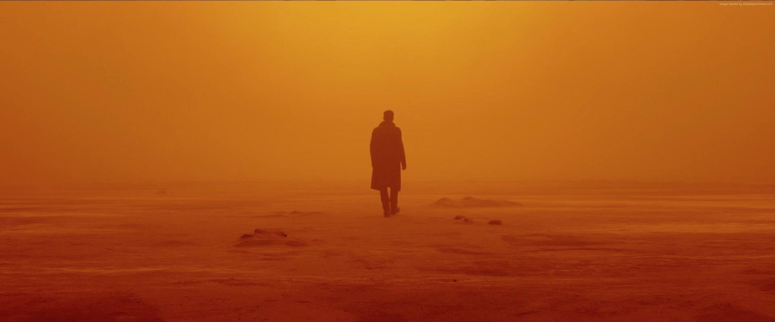 Wallpapers Blade Runner 2049, Ryan Gosling, best movies, Movies