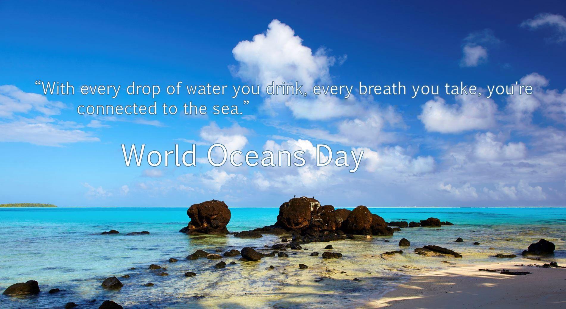 World Oceans Day Wallpapers