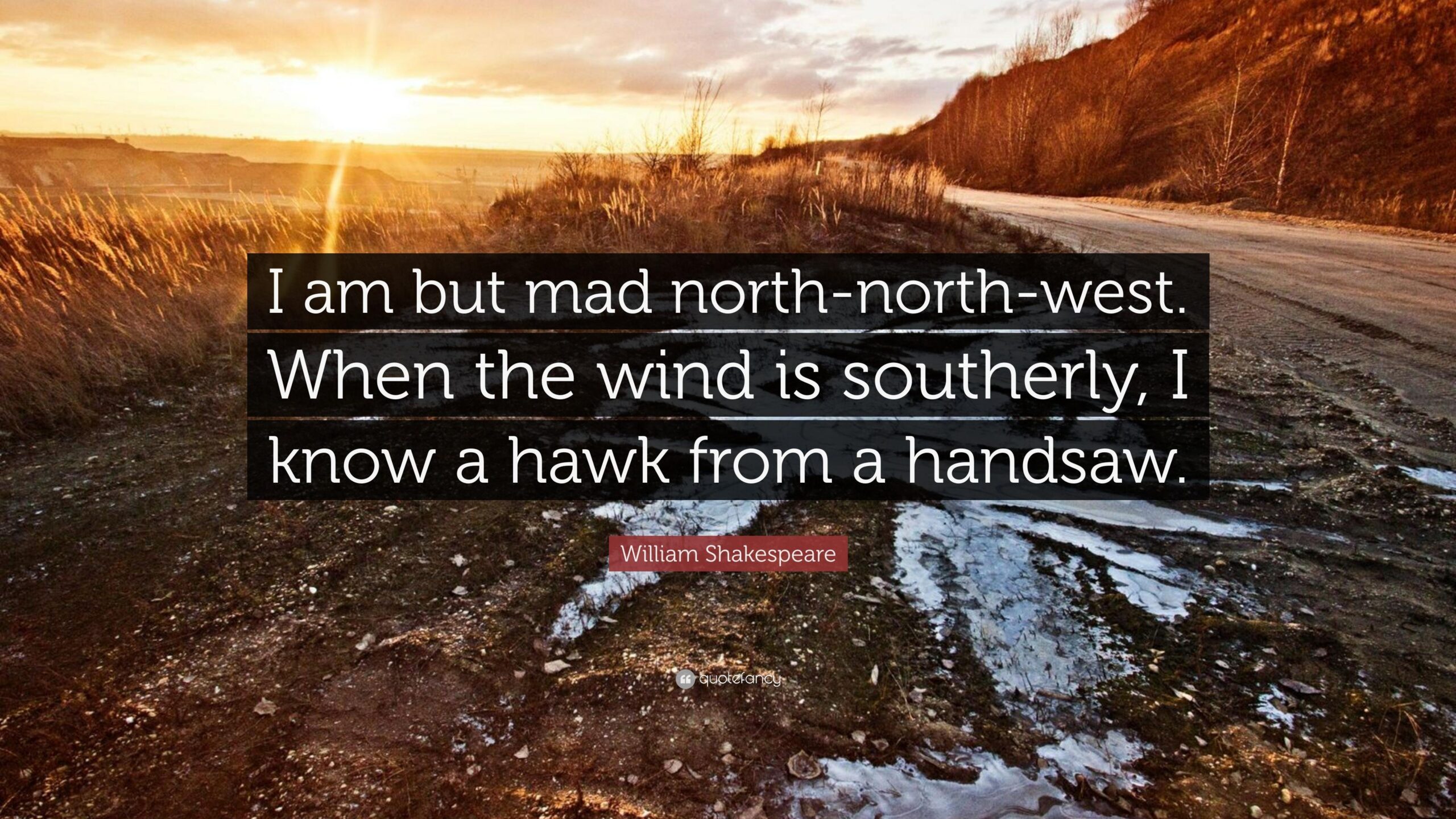 William Shakespeare Quote: “I am but mad north