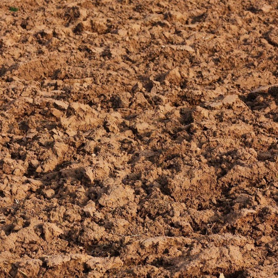 Mud Wallpapers