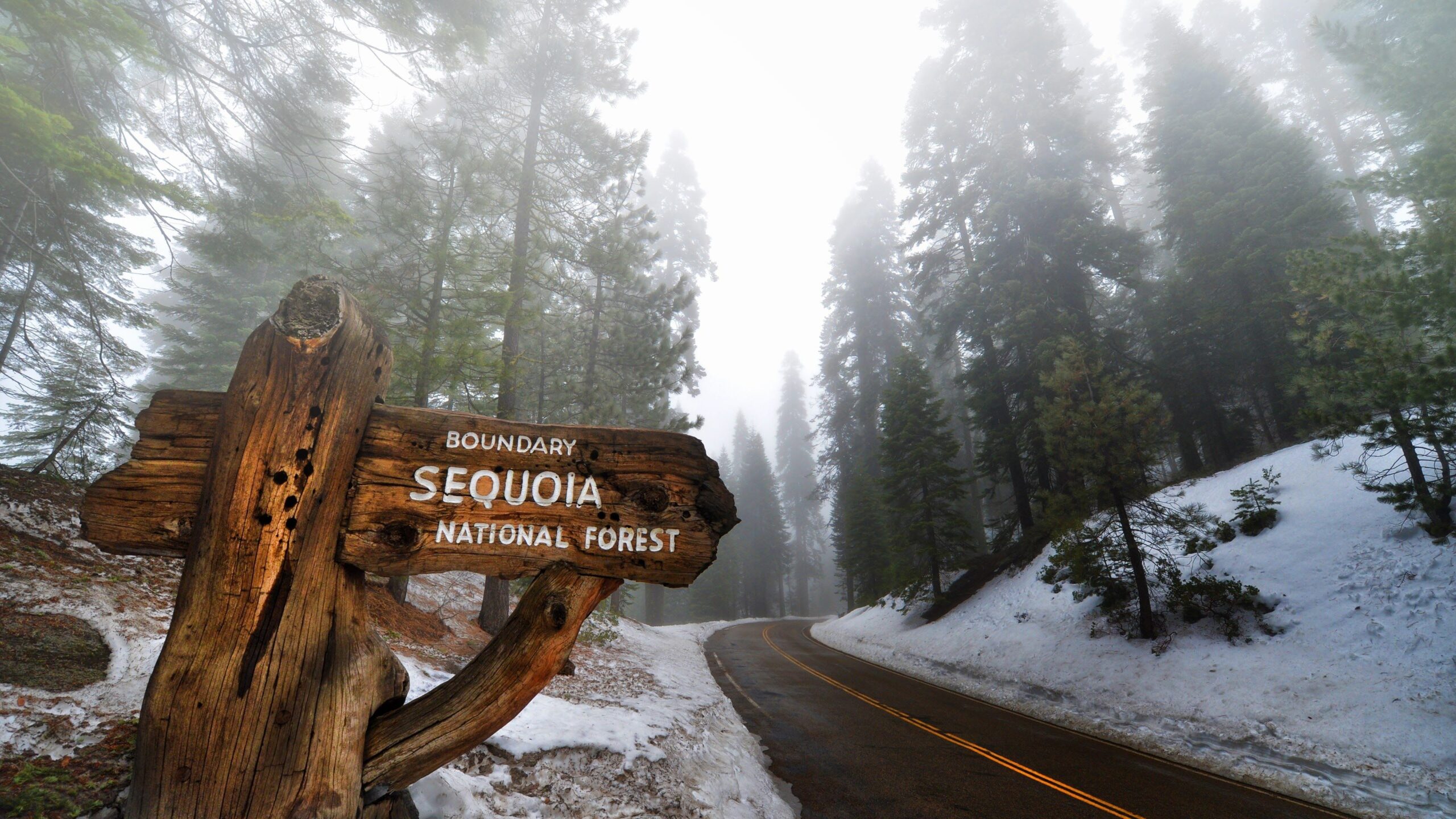 Sequoia National Park HD wallpapers