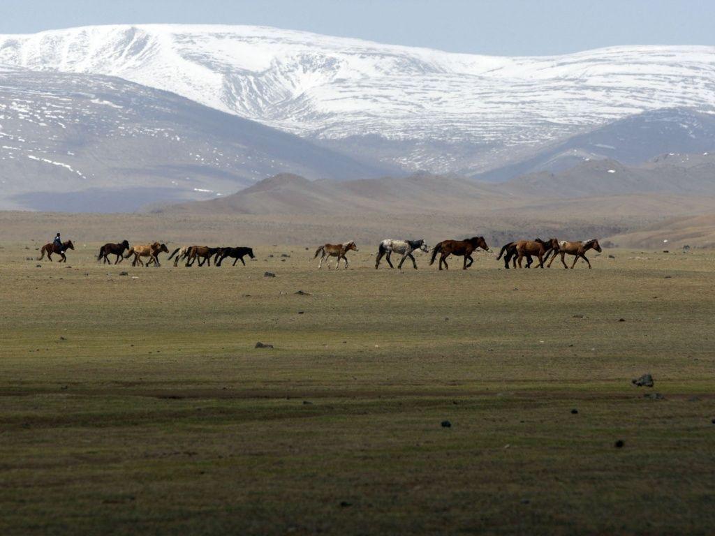 Mongolia Coal Railway To Link With Russia wallpapers