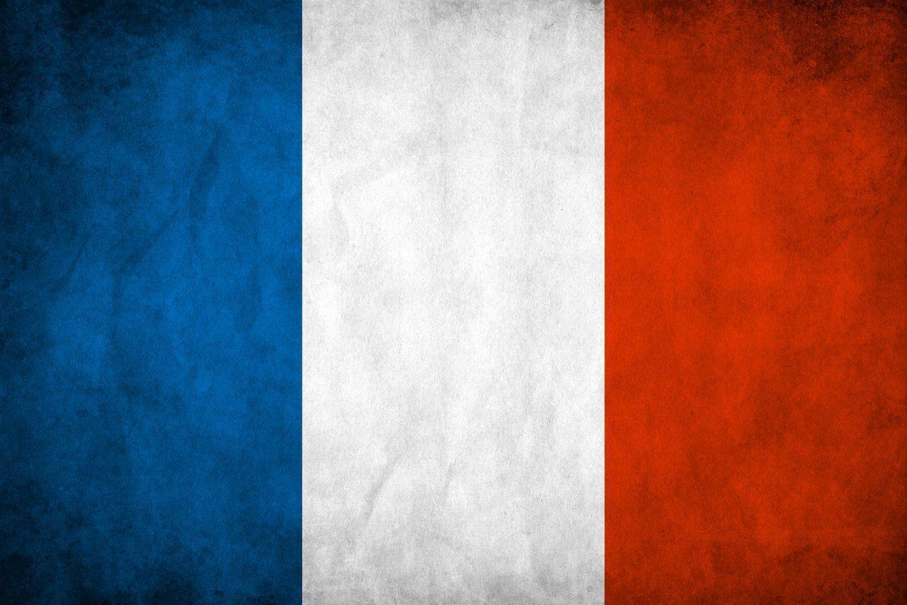 France Flag by think0