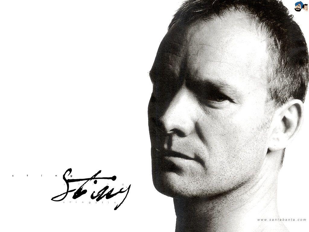 Sting image Sting HD wallpapers and backgrounds photos