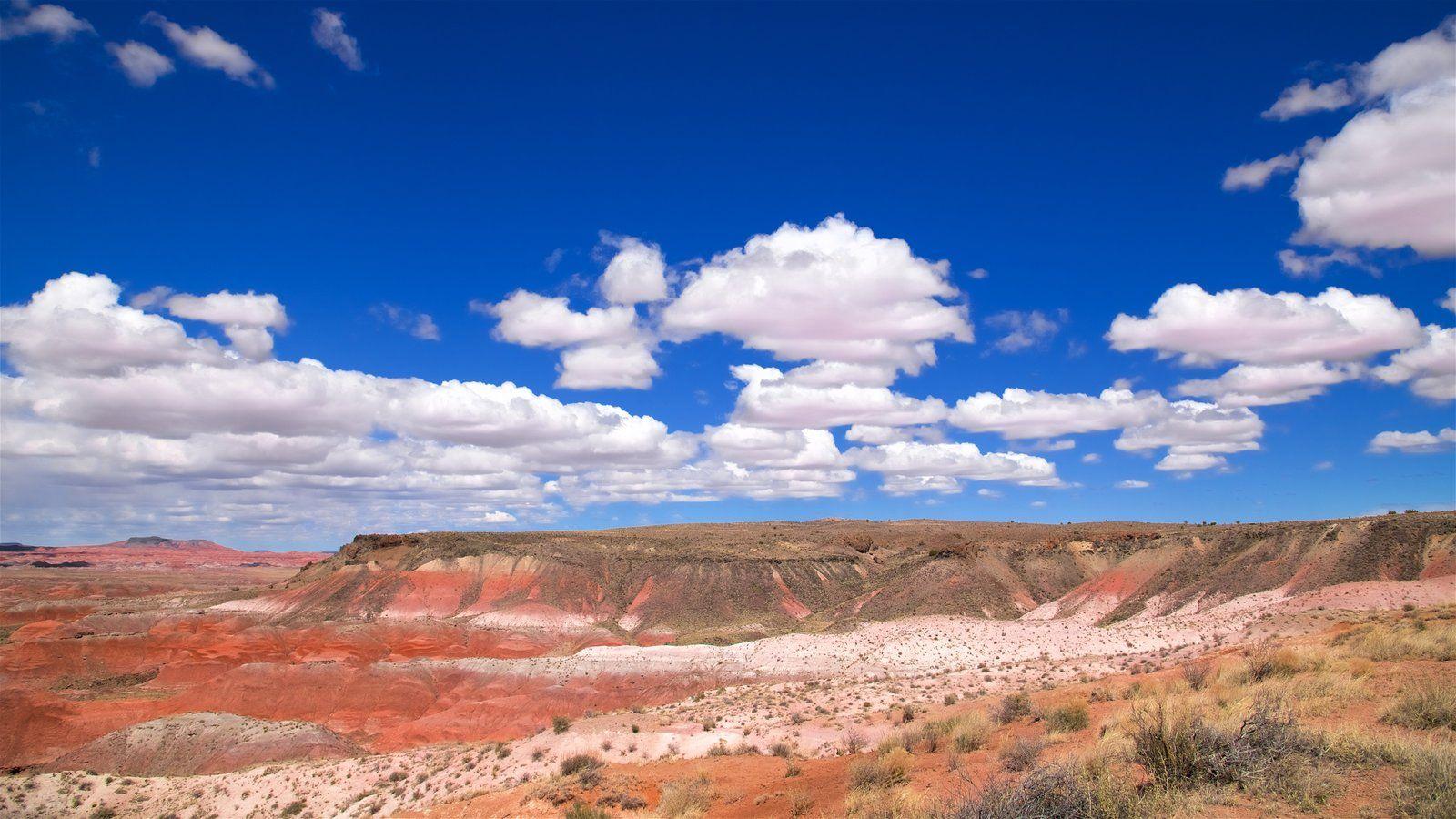 Landscape Pictures: View Image of Petrified Forest National Park