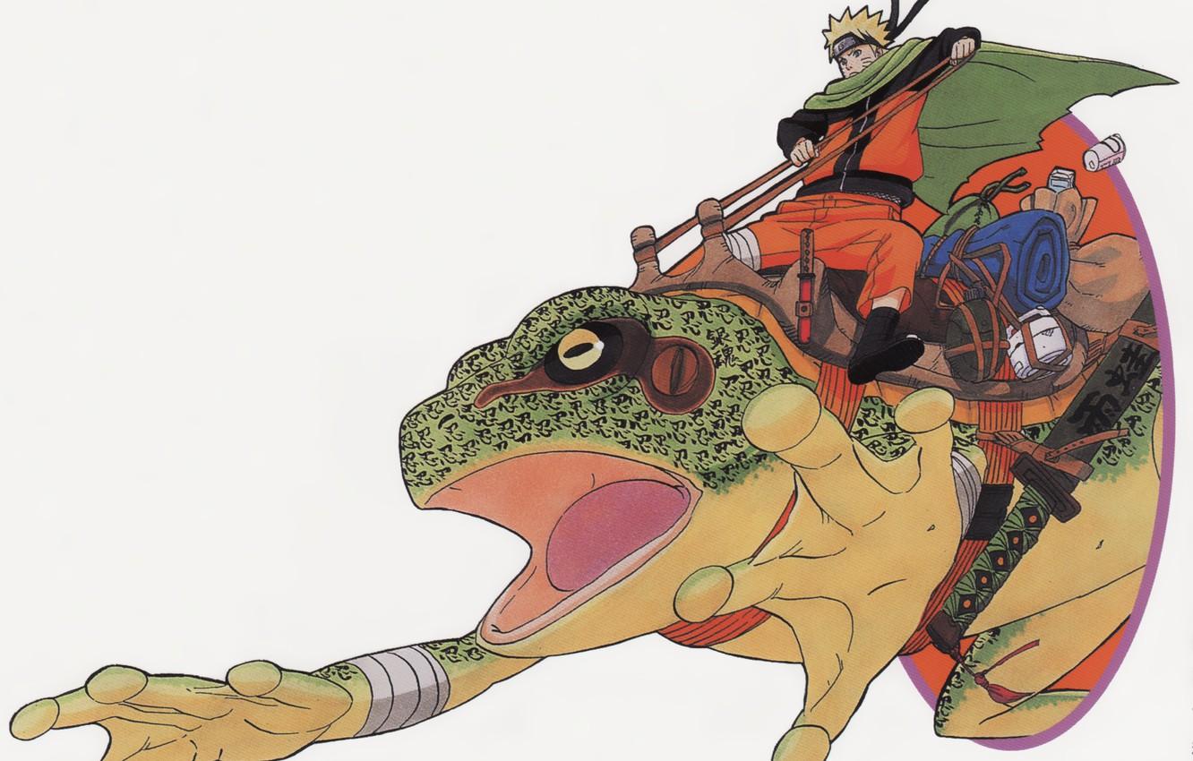 Wallpapers naruto, anime, art, manga, shinobi, toad image