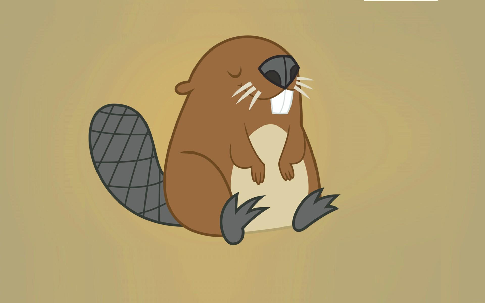 Beaver Backgrounds HD Wallpapers 28977