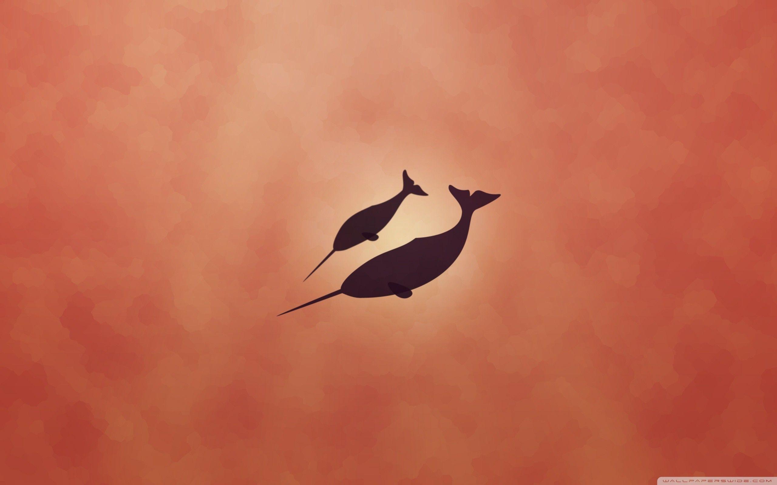 Narwhal Wallpapers