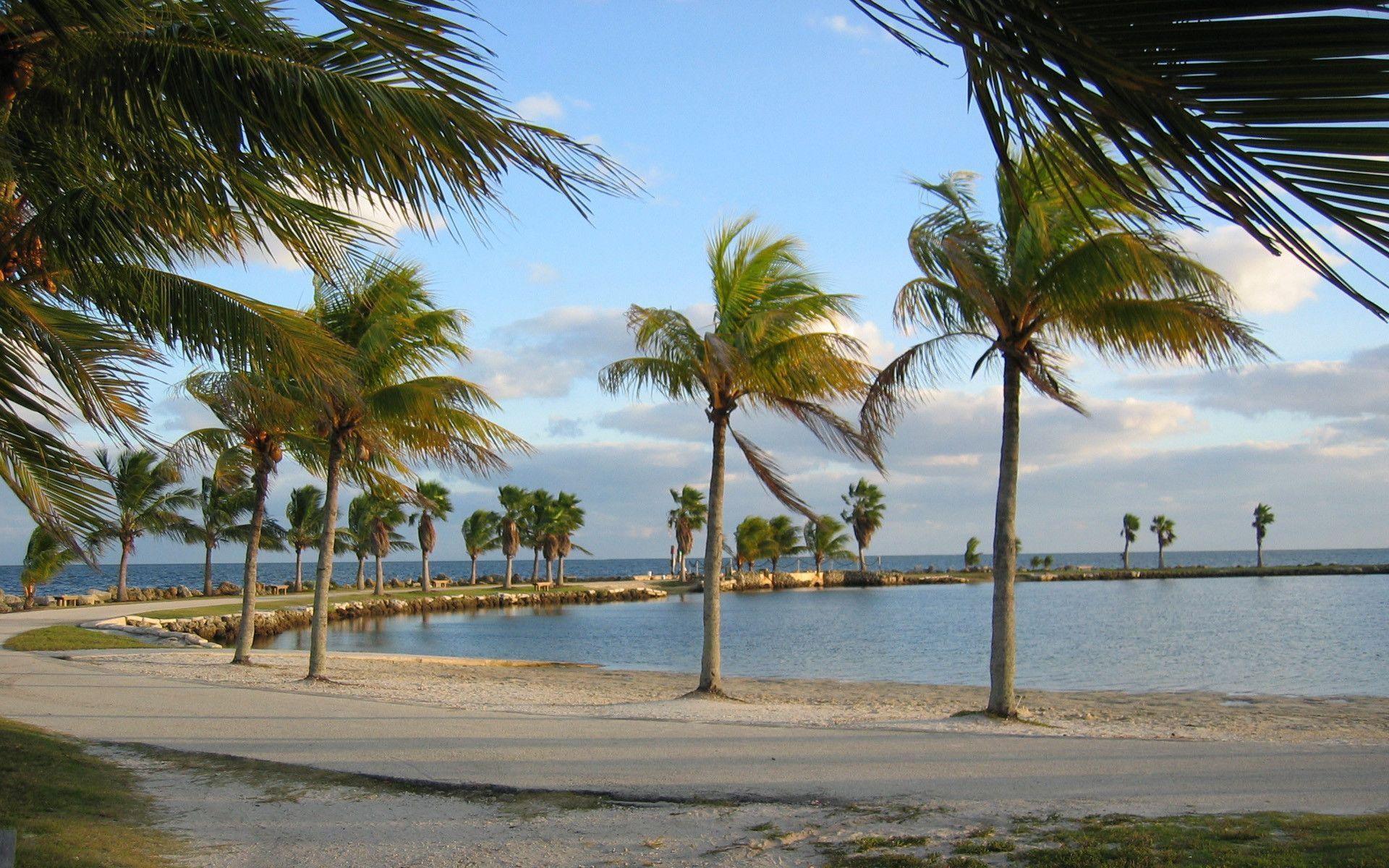 Windy Miami beach wallpapers