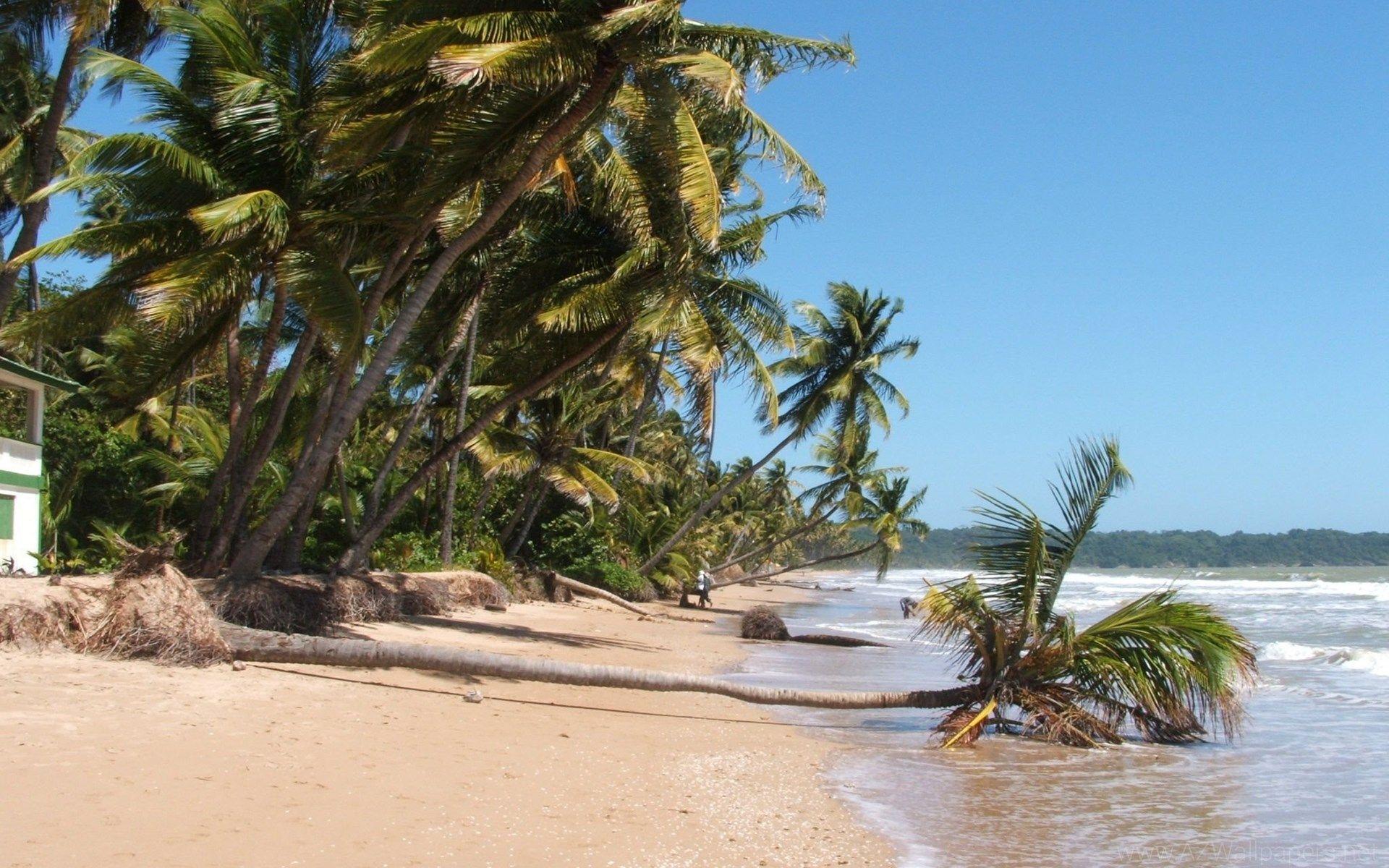 Mayaro Beach, Trinidad & Tobago p HD Beach Travel