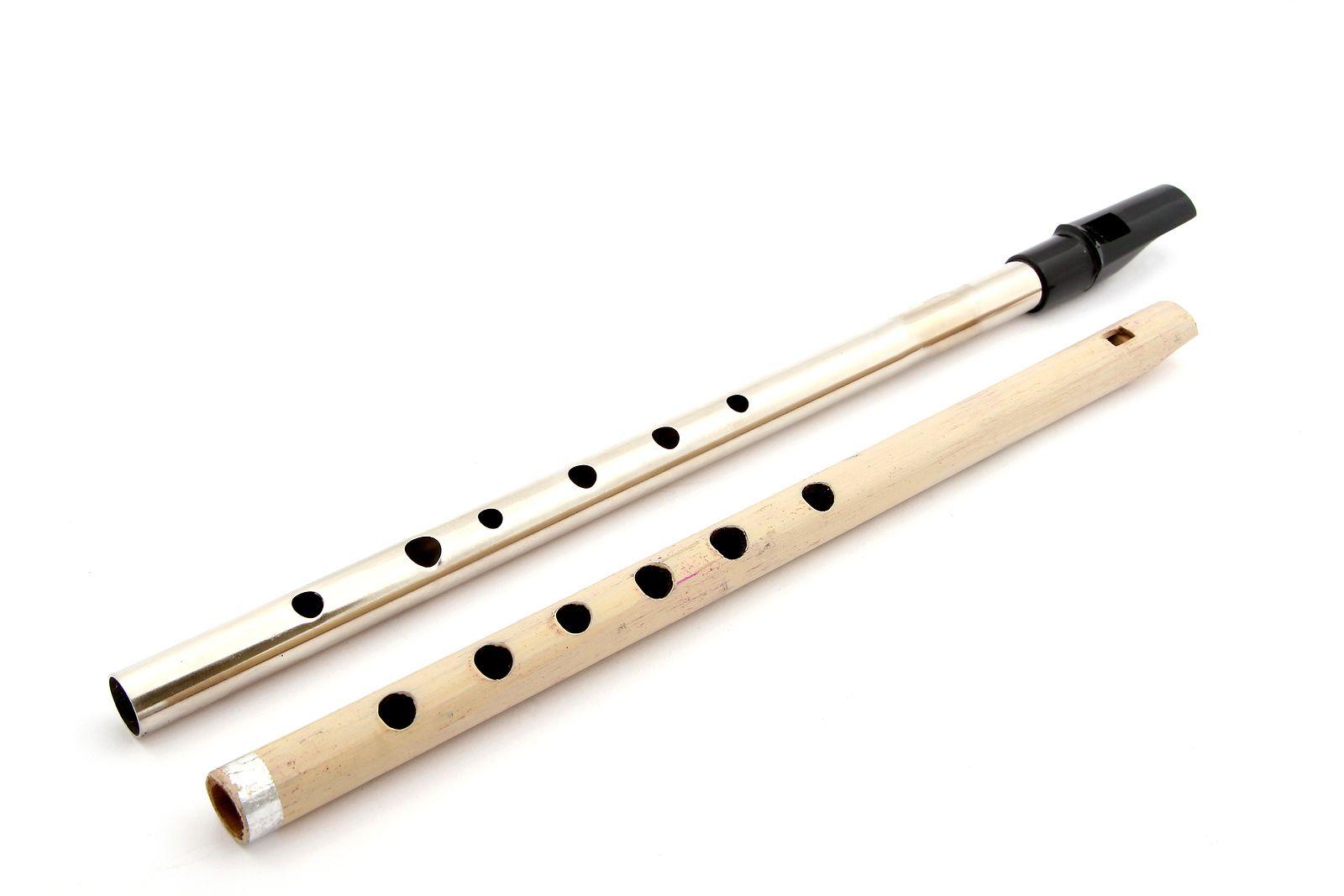 Tin Whistle Page: History of the Irish Penny Whistle