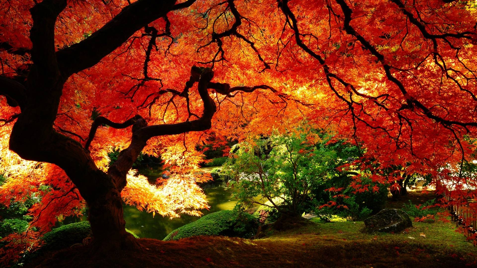 Fall Desktop Wallpapers 15902