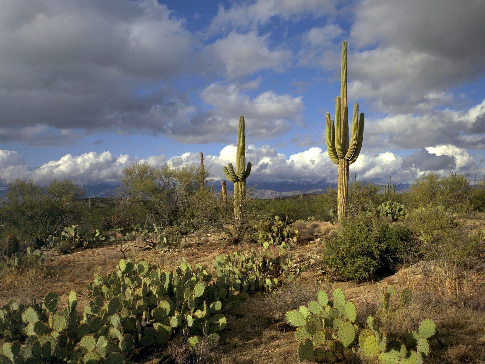 national parks in arizona