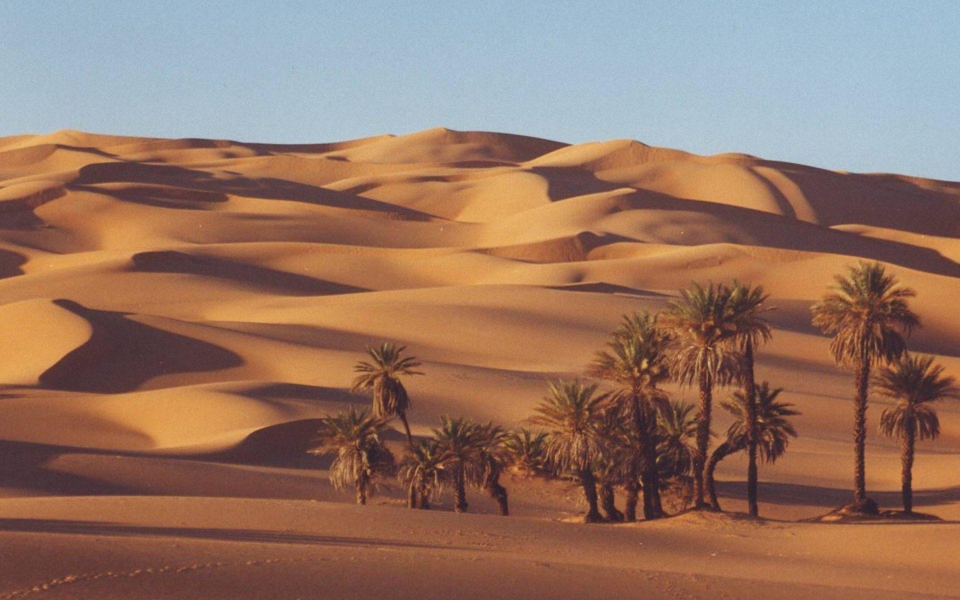 HD Sahara Wallpapers