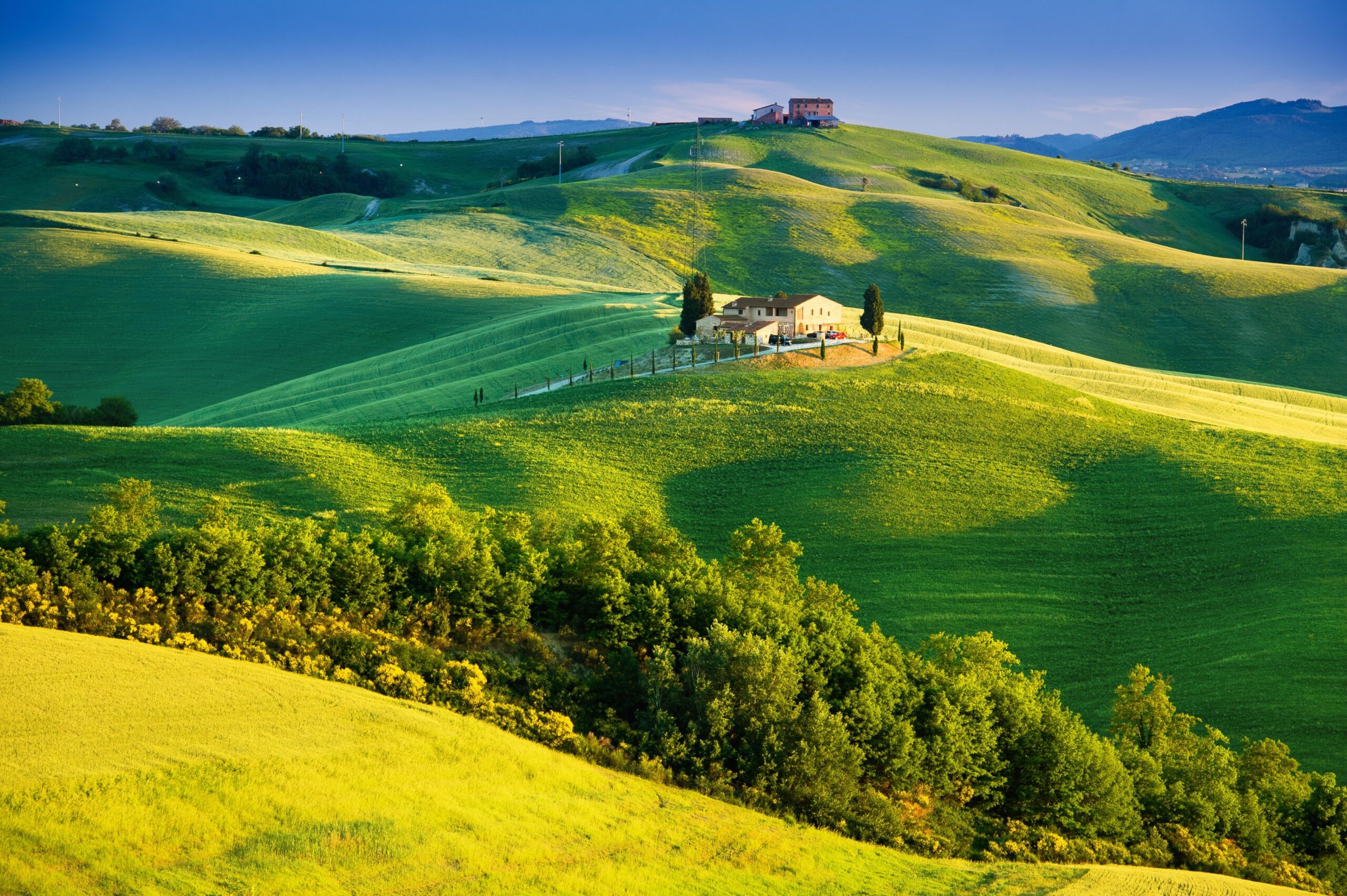 Wallpapers sunlight, Tuscany, countryside, Italy, nature, trees