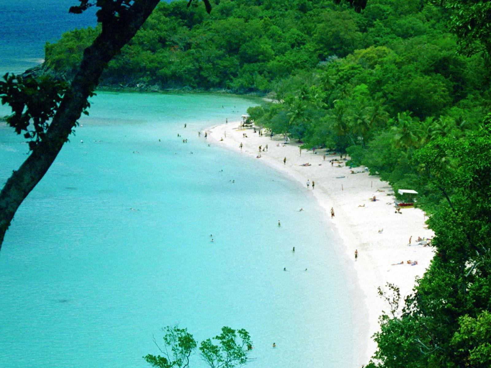 Trunk Bay, St. John : Travel Wallpapers and Stock Photo