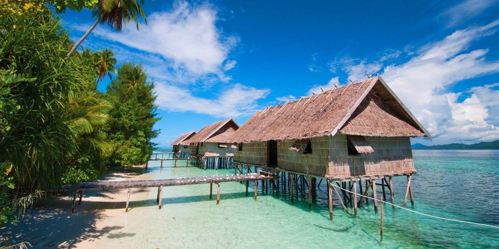 nature, Water, Cabin, Scuba Diving, Beach, Palm Trees, Landscape