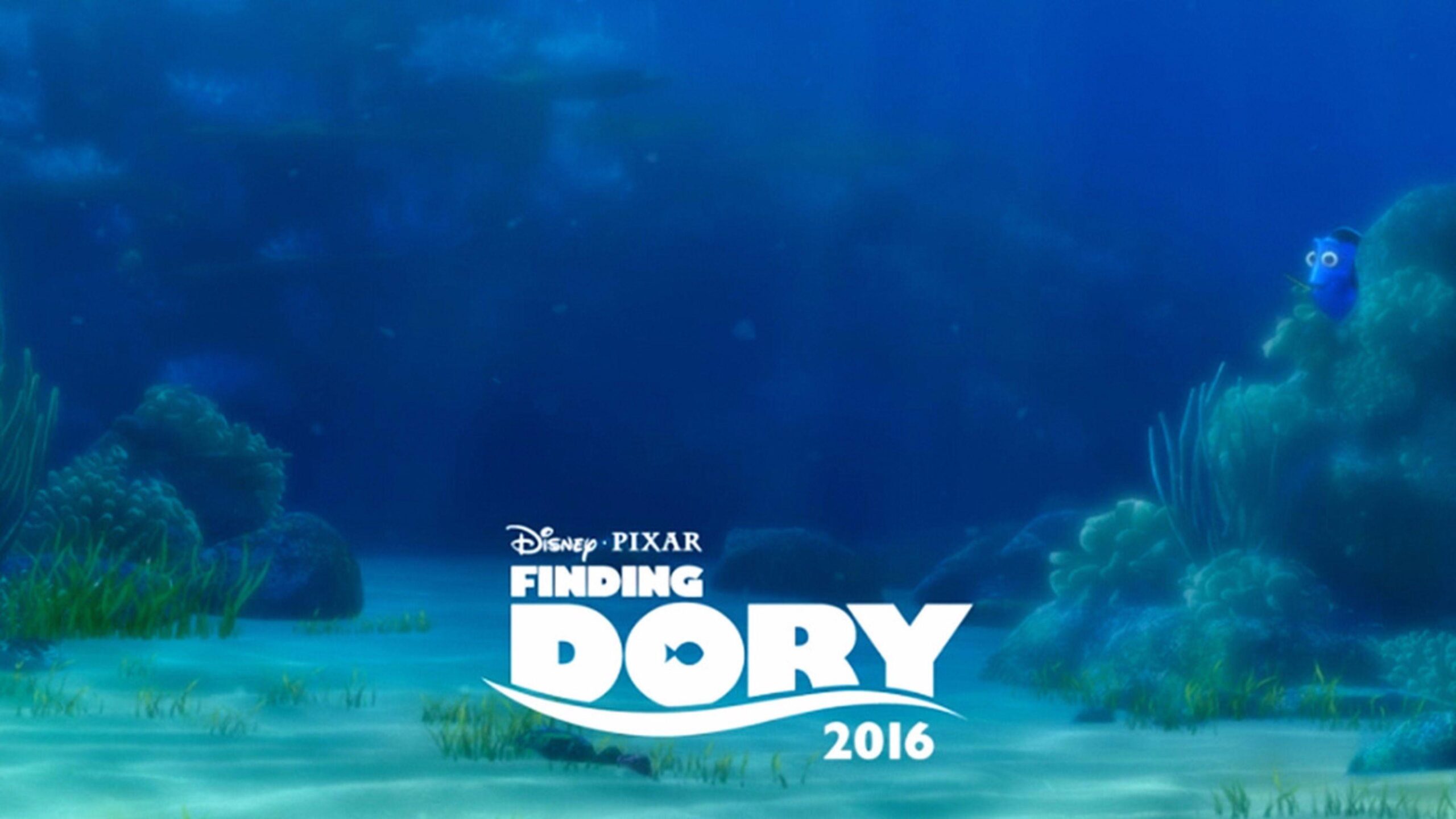 Finding Dory wallpapers HD backgrounds download desktop • iPhones