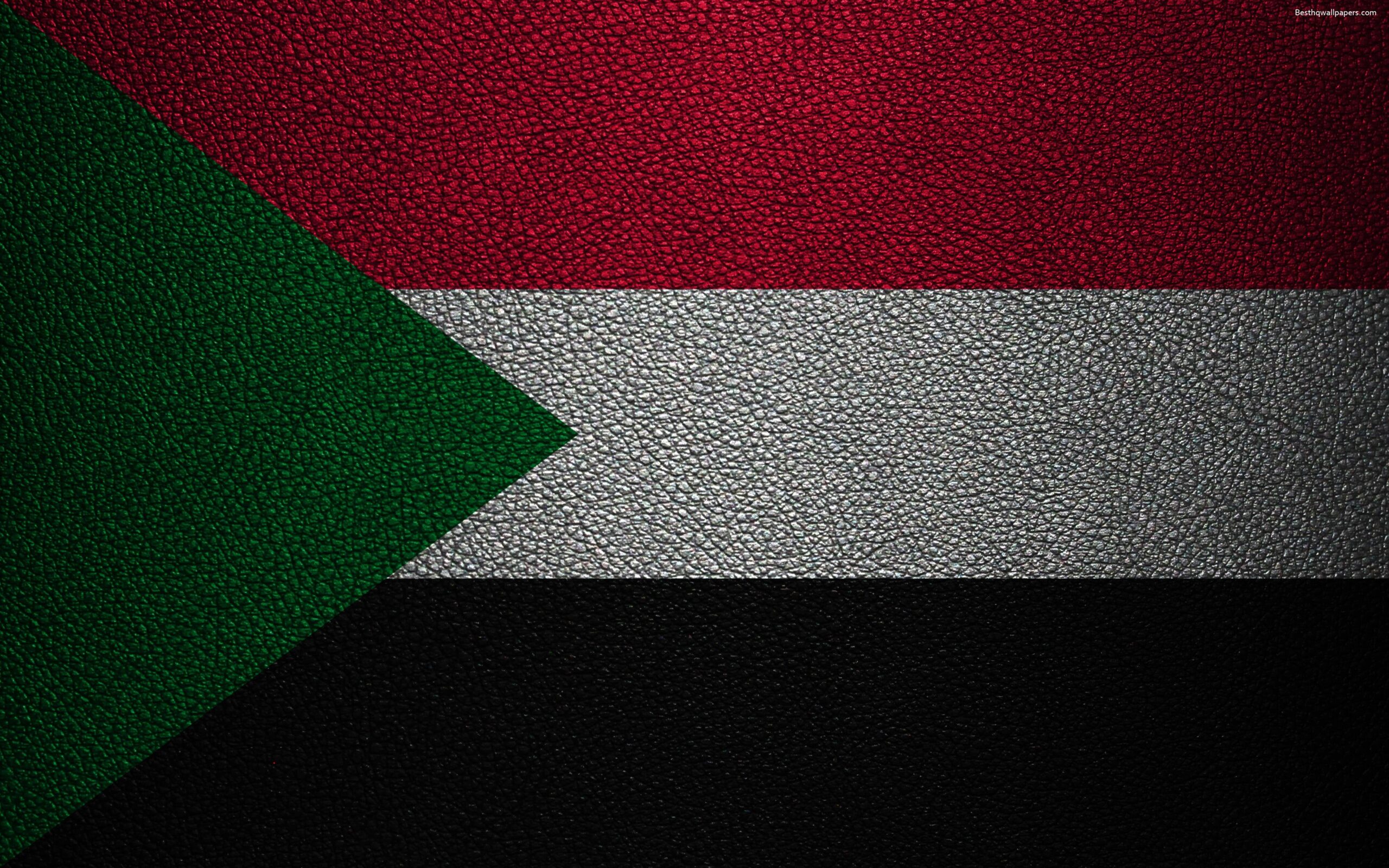 Download wallpapers Flag of Sudan, Africa, 4K, leather texture