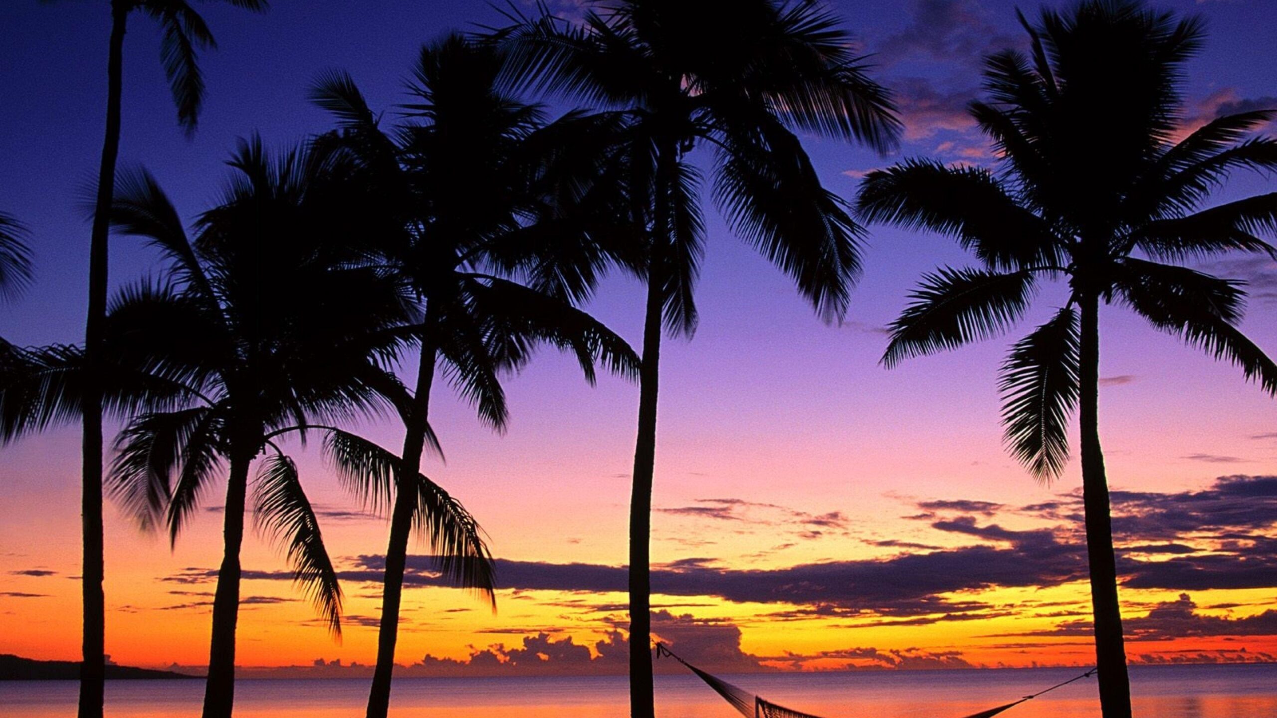 Download Wallpapers Fiji, Palm trees, Hammock, Evening