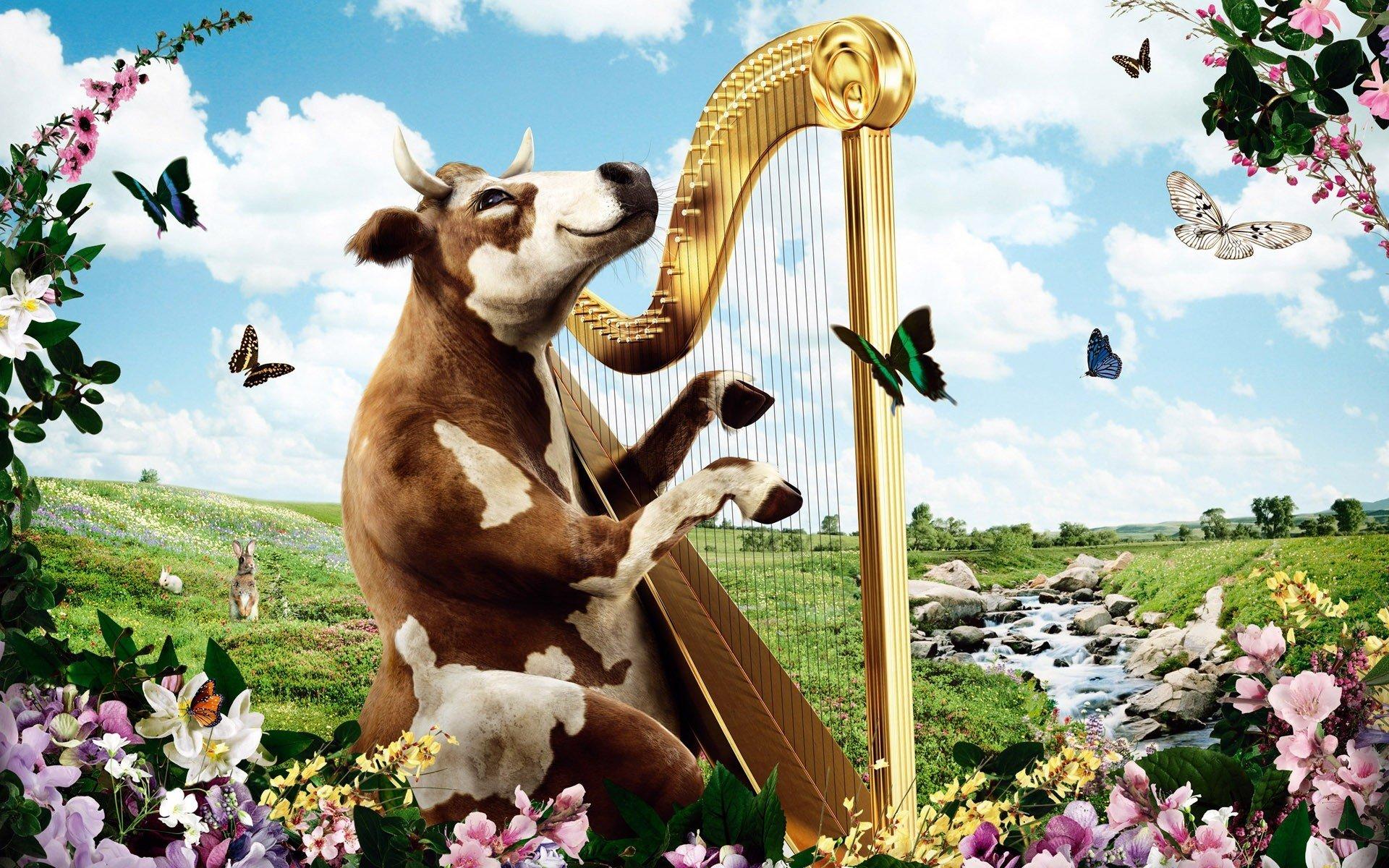 harp cow nature HD wallpapers