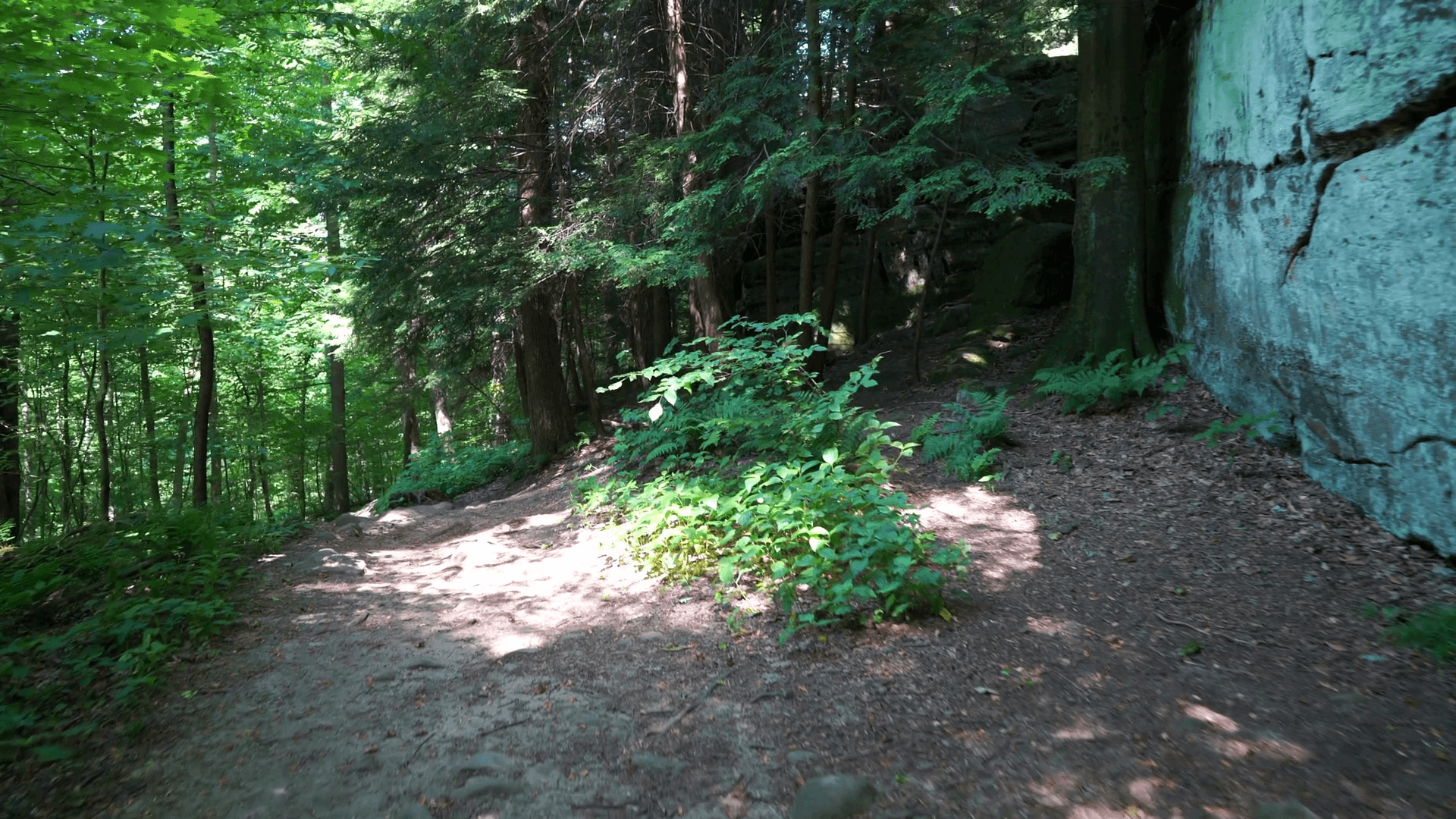 Hiking down forest trail in Cuyahoga Valley National Park Stock