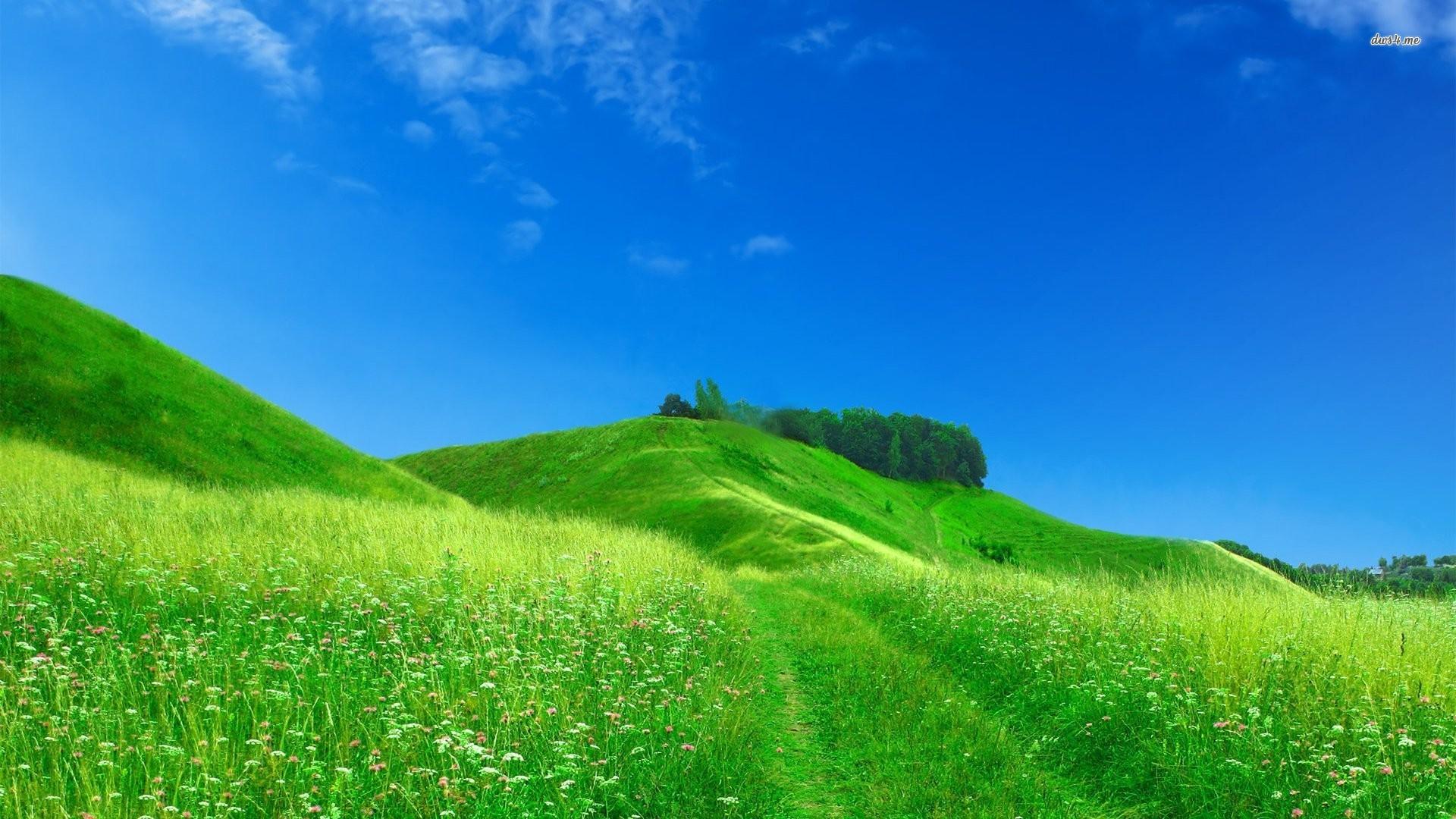 17229 green hills wallpapers