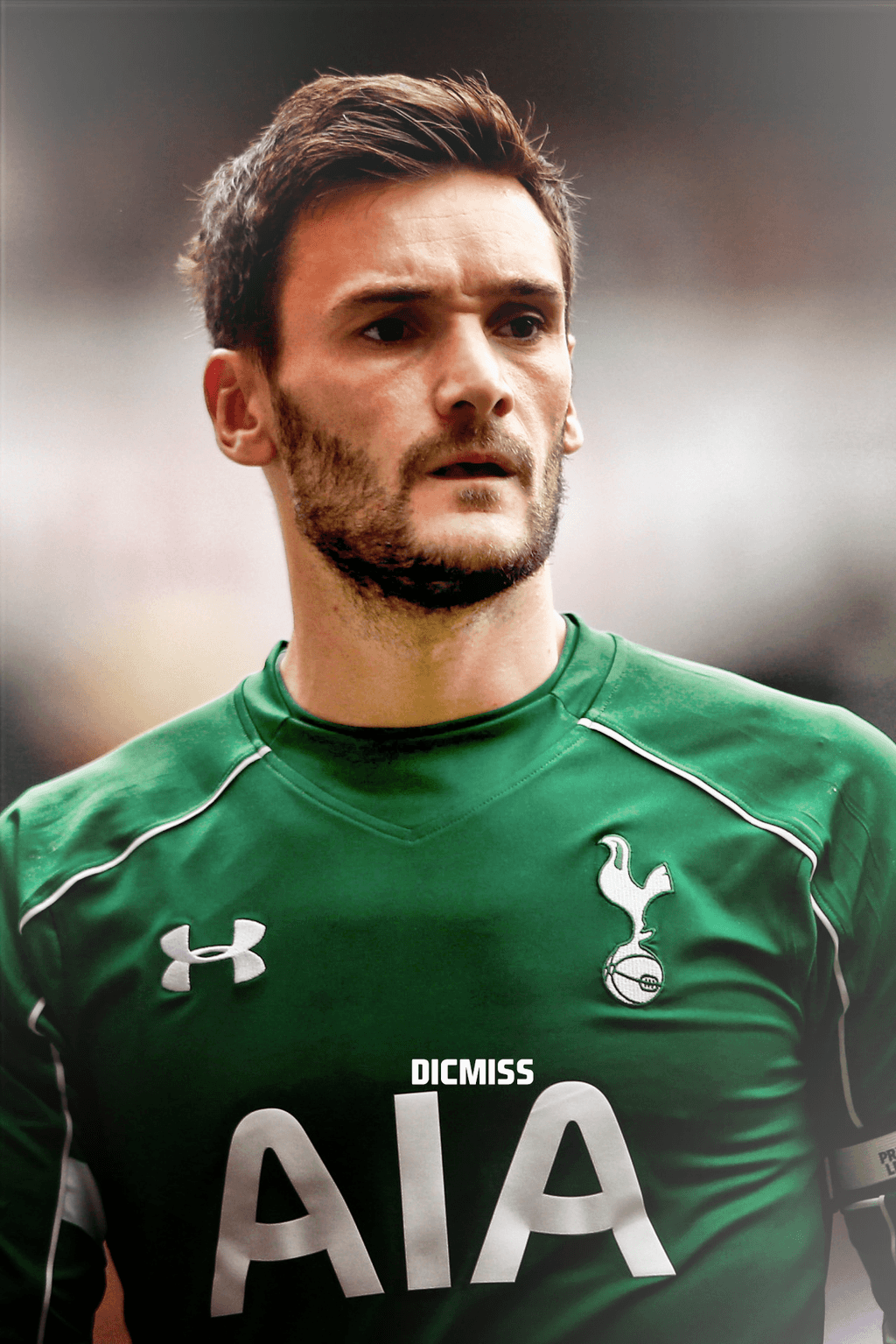 Hugo Lloris by Dicmiss