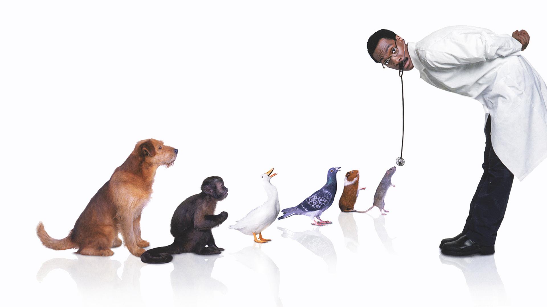 Dr. Dolittle HD Wallpapers