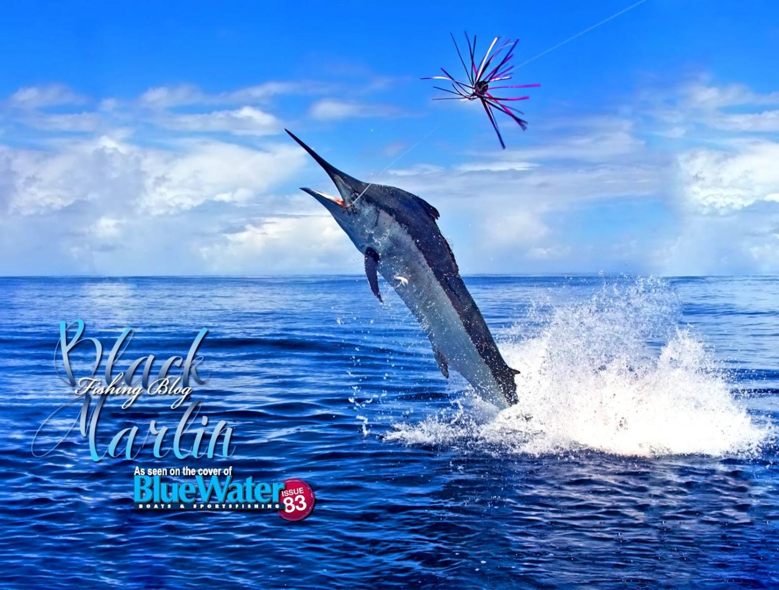 Marlin Fishing Wallpapers